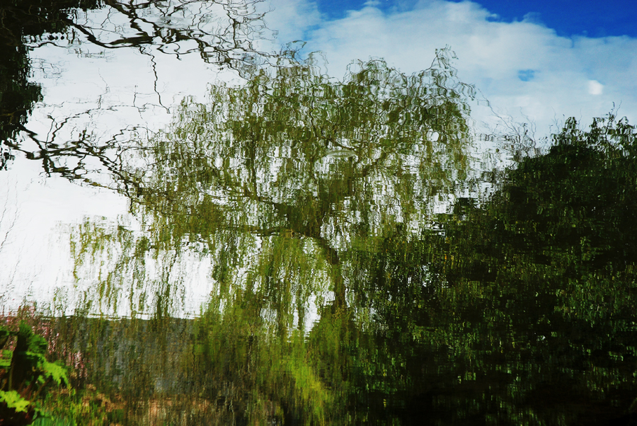 Weeping Willow Well Pool