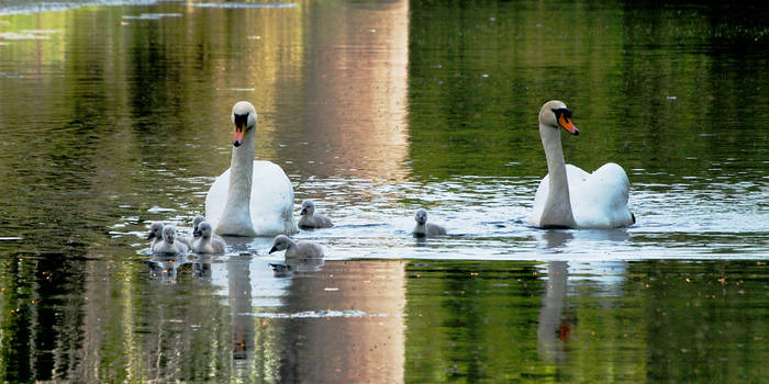 The First Family Outing