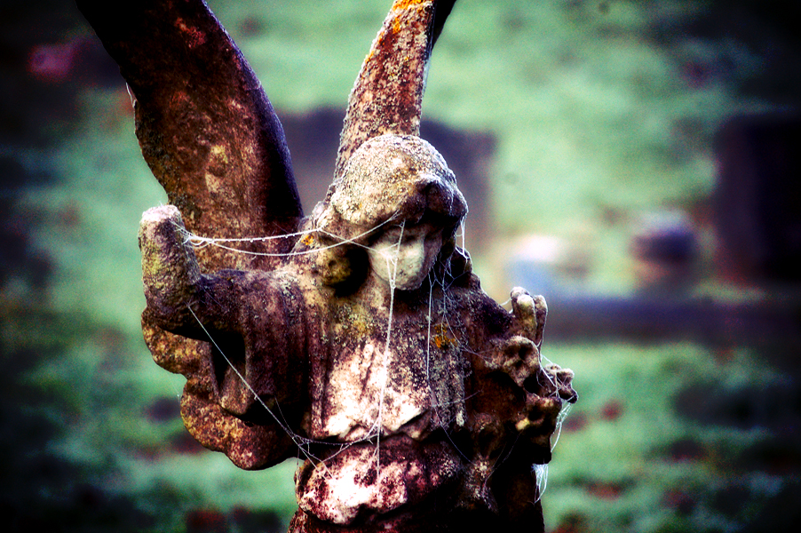 Ipswich Cemetery 0005