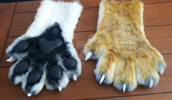 Realistic feline paws