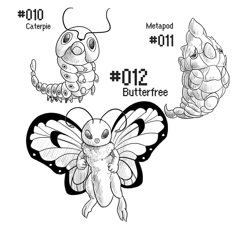 PKMN-A-DAY: The Caterpillar