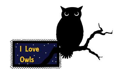 I love owls stamp