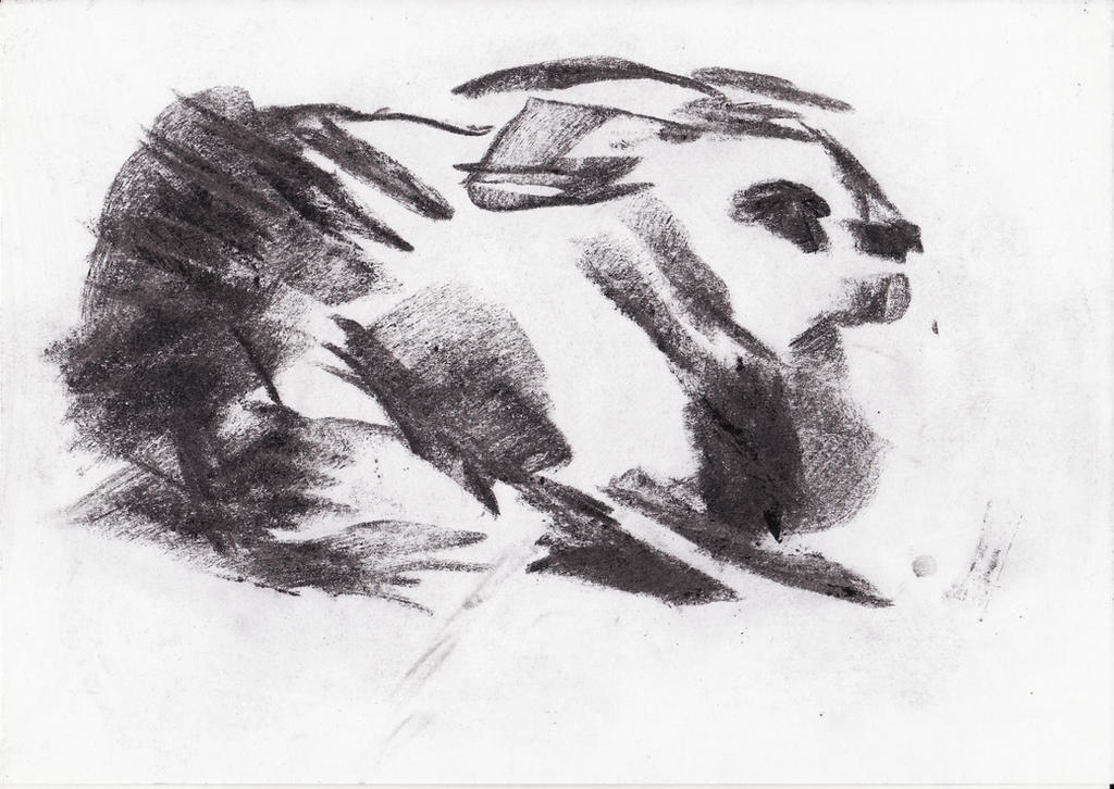 Pinterest Charcoal Rabbit Charcoal drawing - rabbit by AlexIlieva on DeviantArt