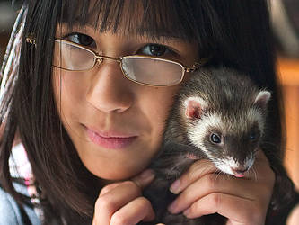 A girl and her ferret