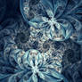 Cold