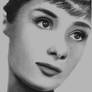 Audrey Hepburn Pencil Portrait