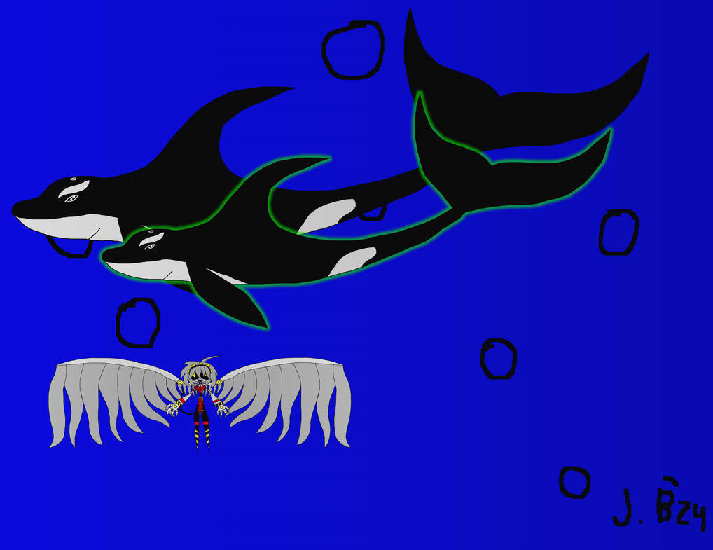 Zoocember day 17 Orca by ToaJaniceAnteverse on DeviantArt