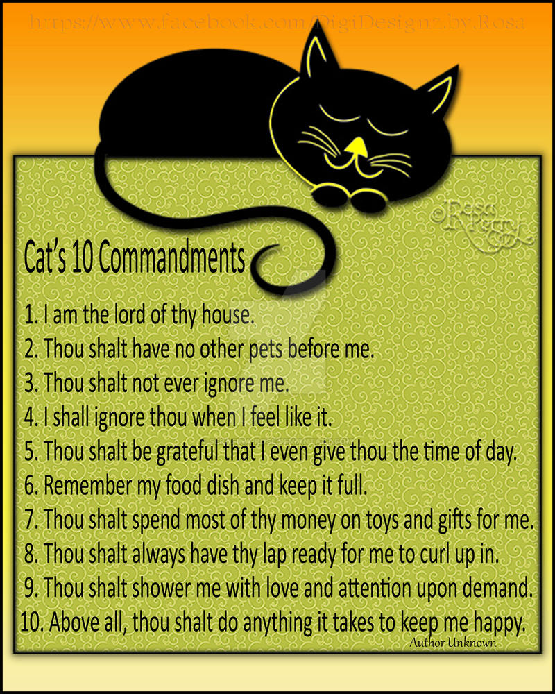 Cat Commandments Cat's 10 Commandments Large by serafina-rose on DeviantArt