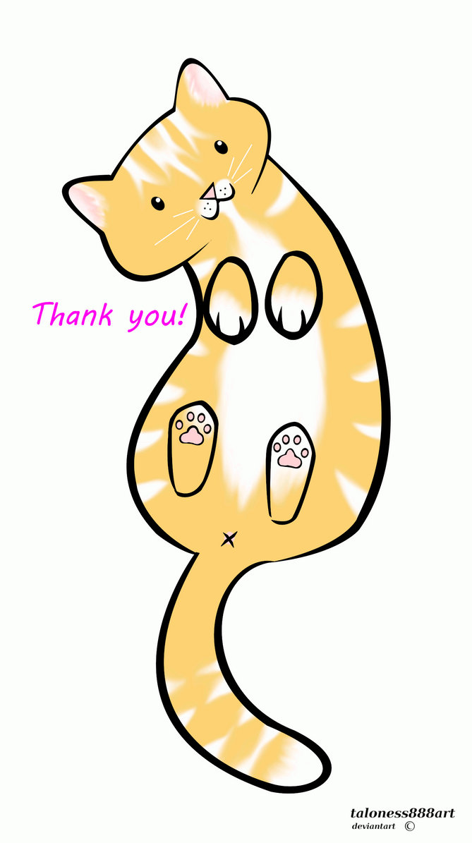 Thank You, Kitten (Gif) by taloness888art on DeviantArt