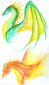 Water Color Dragons