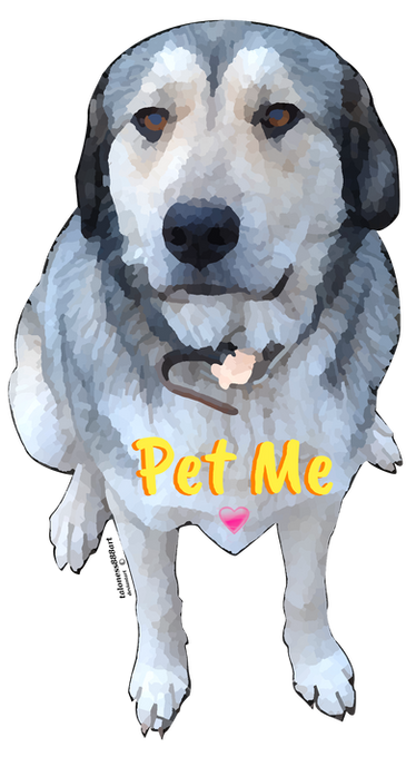 Popular and Trending freetoedit Stickers on PicsArt  Pet adoption  certificate, Pet adoption party, Pets drawing