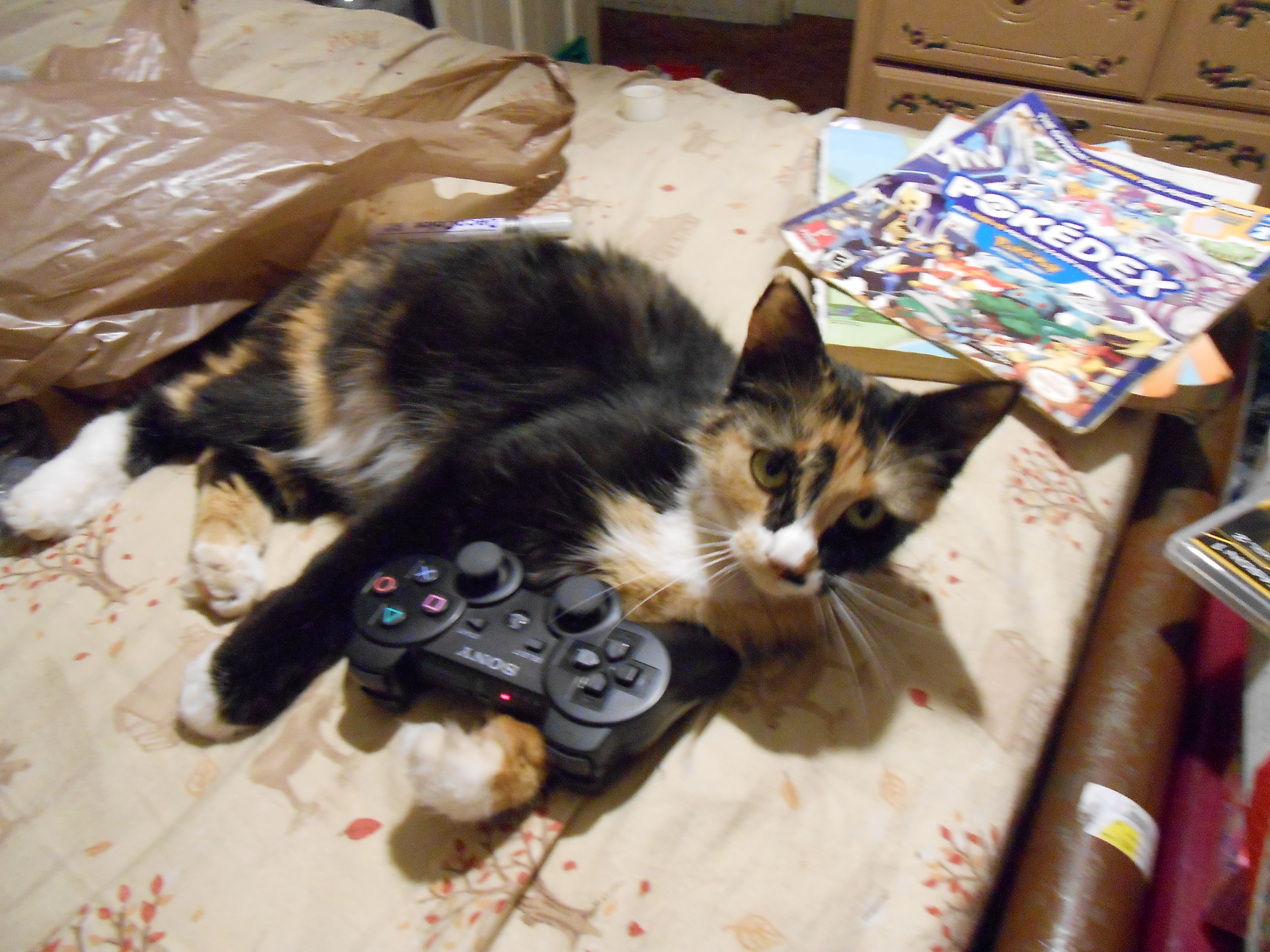 PS3 Cat