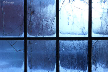 winter window