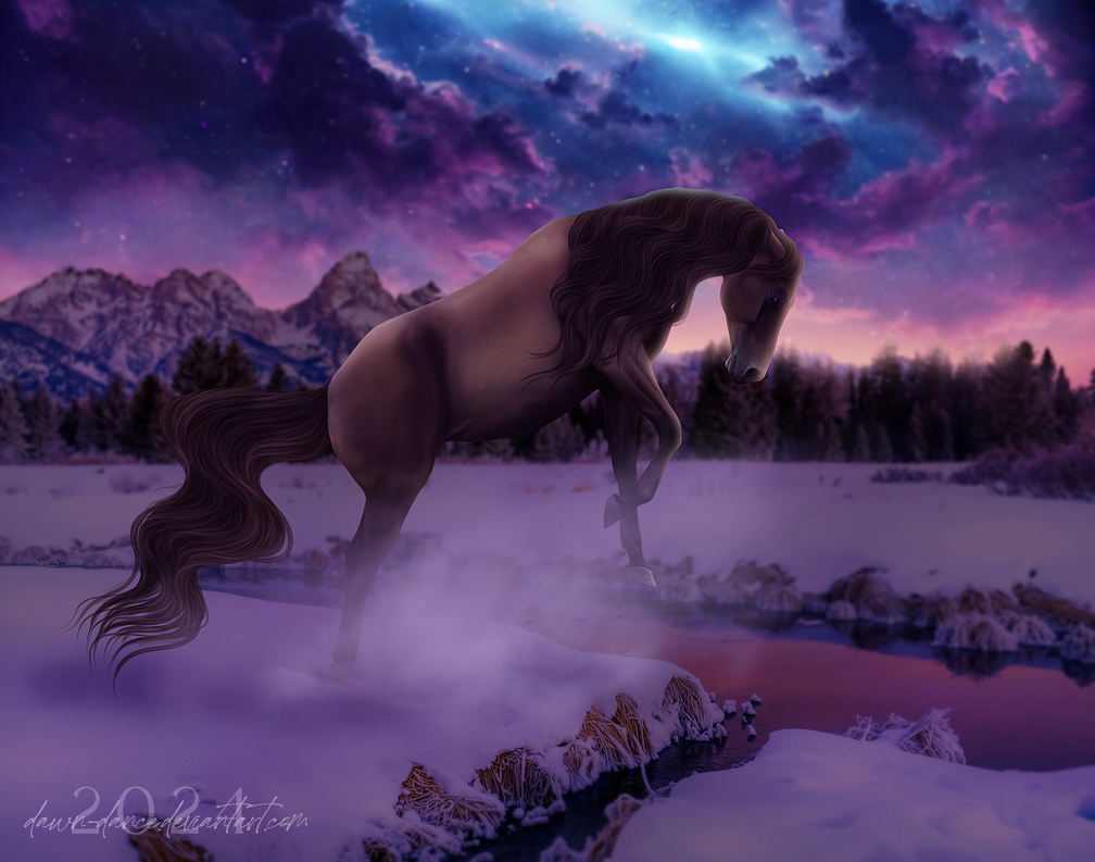 Solstice Entry Solstice { contest entry } by dawn-dance on DeviantArt