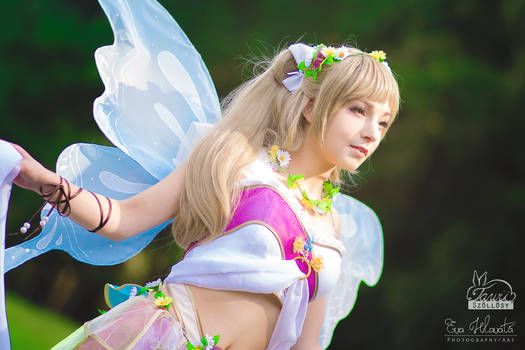 Kotori Minami - Land of Fairies