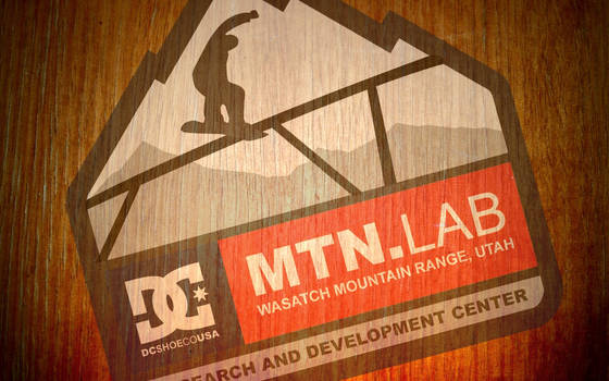 DC Mountain Lab Wallpaper