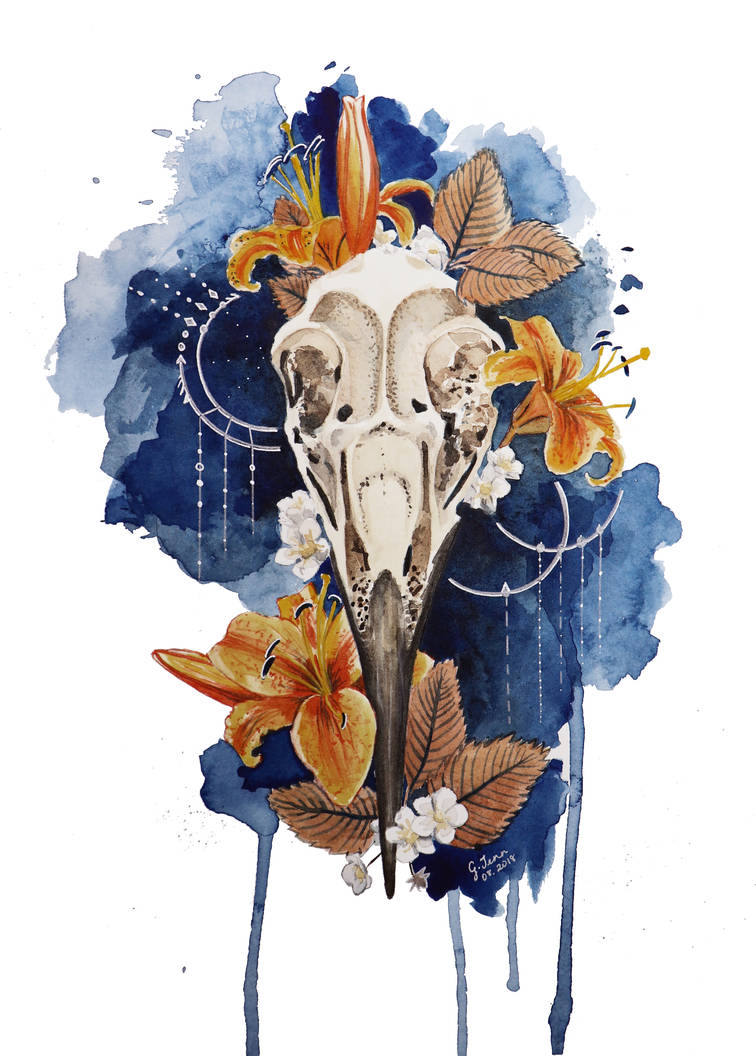 Bird Skull By Ginatenn On Deviantart Bird Skull By Ginatenn On Deviantart