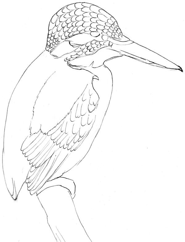 Kingfisher