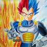 Vegeta Super Saiyan God | Super Saiyan Blue