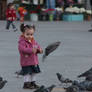 Queen of the Pigeons II