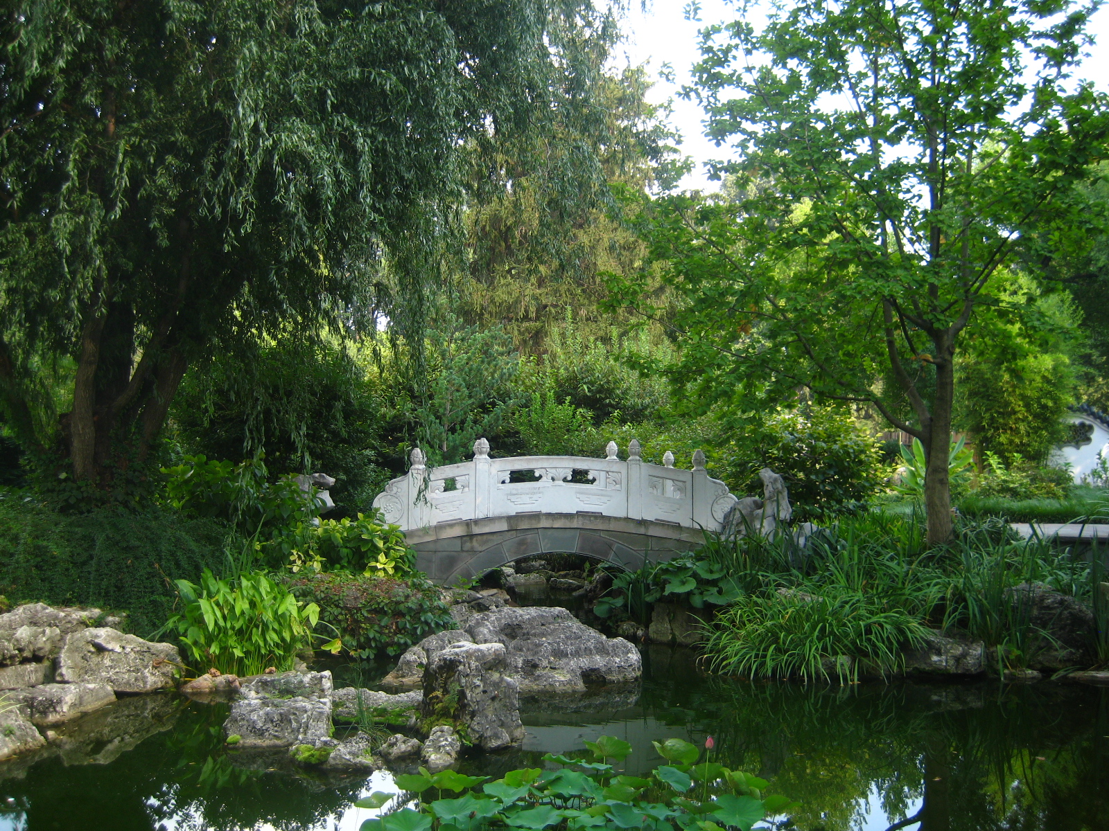 Chinese Garden II