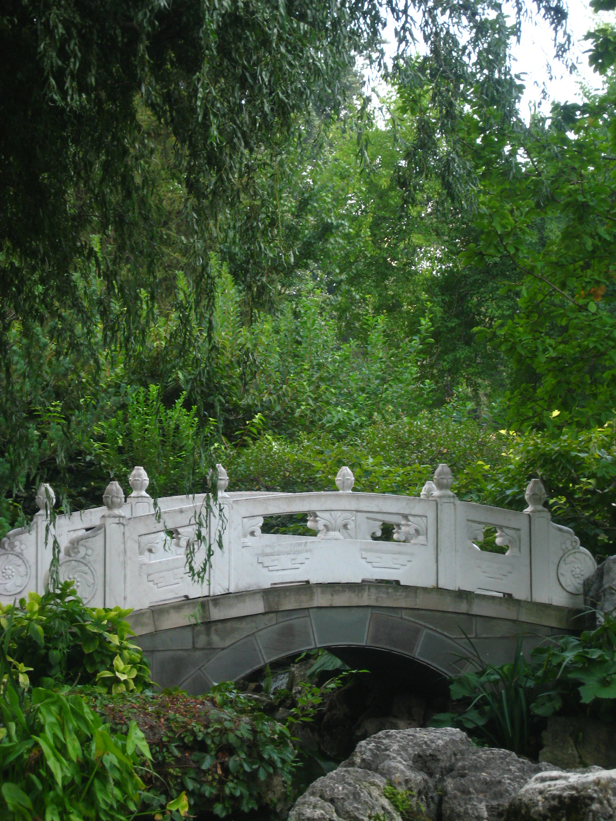 Chinese Garden VI