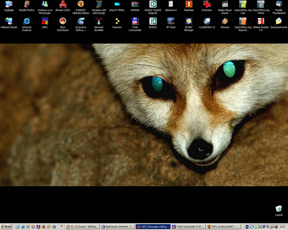 Desktop of FzFx