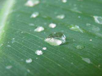 A (many) drop of water