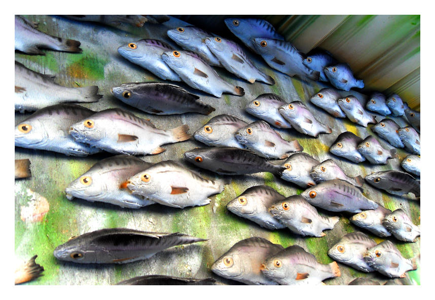 Spawn Ranch by DokuHaku on DeviantArt