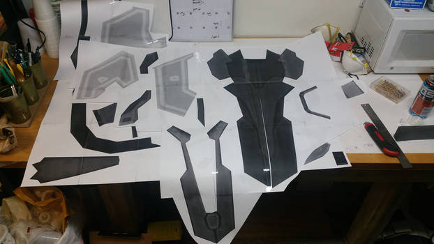 Project Leona's shield 1