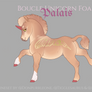 O674 Palais Foal Design