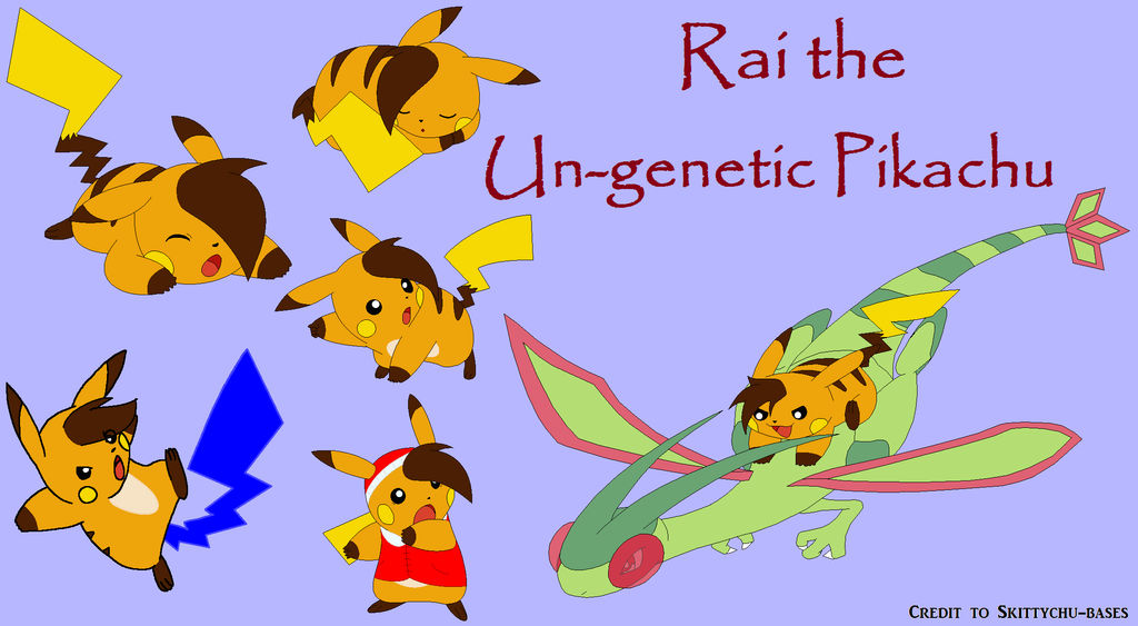 Pokemon Dynasty - Rai Stuff by SonicRanger-1 on DeviantArt