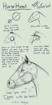 Horse Head Basic Tutorial