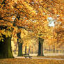 autumn 2010