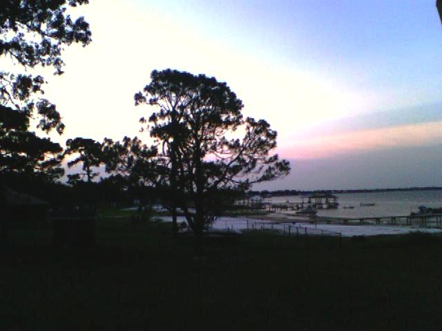 Tree and Sky