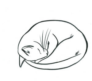 Sleeping Cat