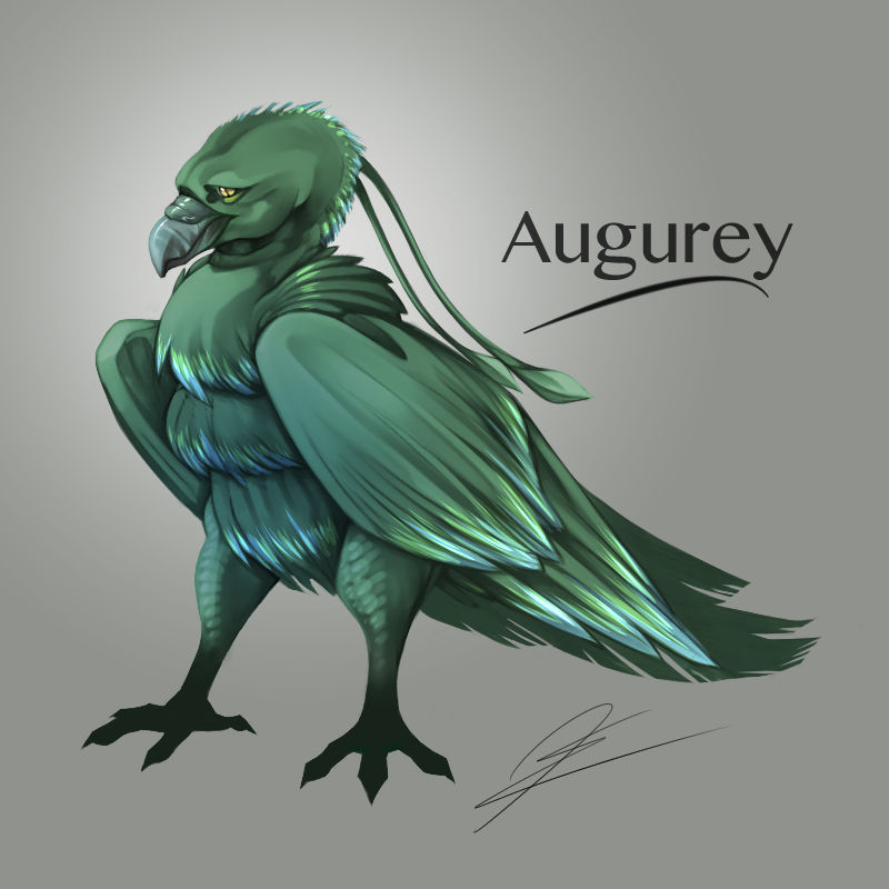 Augurey of Harry Potter by MissDesign33 on DeviantArt