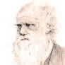 Darwin Sketch