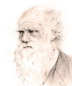 Darwin Sketch