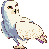 Snowy Owl