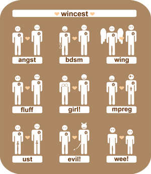 wincest_types