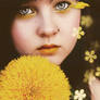 Yellow flowers