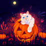 Cats and pumpkins