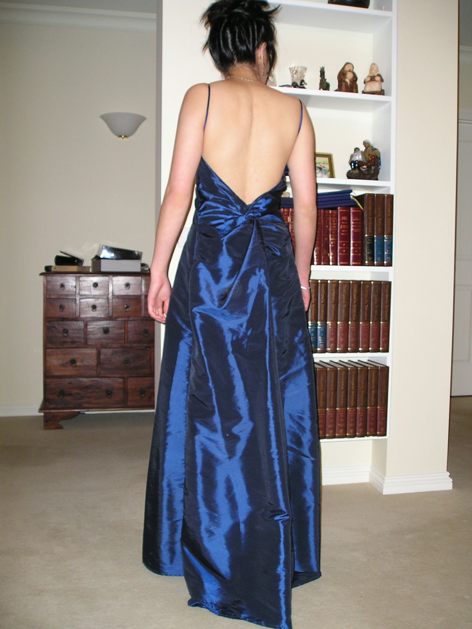 Blue Gown Back