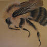 Bee in chalk pastels