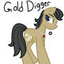 GS Filthy Rich :Gold Digger: