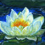 Water Lily