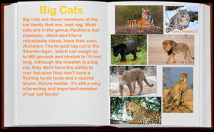 Big Cats