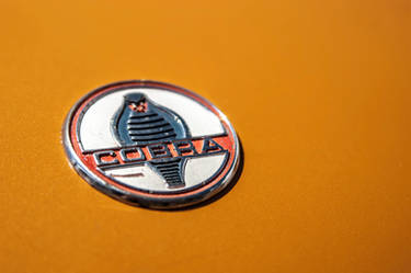 1964 Shelby Cobra: detail 1