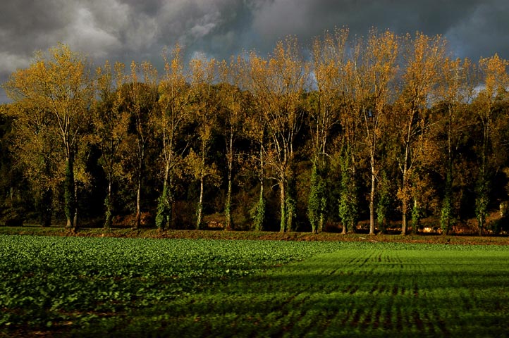 France ,Perigord 2